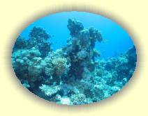 IMG_2007_05_27 14_59_41 * 2226 x 1672 * (623KB)